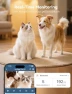 Thumbnail Automatic Pet Feeder with Camera — Automatic Pet Feeder, WOPET