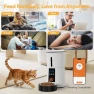 Thumbnail Automatic Pet Feeder with Voice Recorder and App Control — Automatic Pet Feeder, NEWBULIG