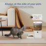 Thumbnail Automatic Pet Feeder — Automatic Pet Feeder, ANDOLL HOME