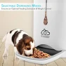 Thumbnail Automatic Pet Feeder — Automatic Pet Feeder, SereneLife