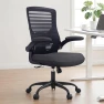 Thumbnail Desk Chair for Long Hours & Lower Back Pain Relief — Smart Chairs, QLTPLUS
