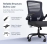 Thumbnail Desk Chair for Long Hours & Lower Back Pain Relief — Smart Chairs, QLTPLUS