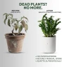Thumbnail Smart Self Watering Planter with WiFi Bridge & App Control — Indoor Garden, LeafyPod