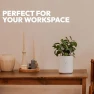 Thumbnail Smart Self Watering Planter with WiFi Bridge & App Control — Indoor Garden, LeafyPod
