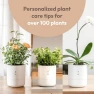 Thumbnail Smart Self Watering Planter with WiFi Bridge & App Control — Indoor Garden, LeafyPod