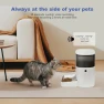 Thumbnail 2.4G Automatic Cat Feeder — Automatic Pet Feeder, ANDOLL HOME