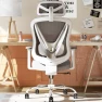 Thumbnail Ergonomic Mesh Office Chair with 3D Adjustable Lumbar Support and 3D Armrests, V-Shaped Back, Adjustable Desk Chair for... — Smart Chairs, HOLLUDLE