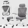 Thumbnail Ergonomic Mesh Office Chair with 3D Adjustable Lumbar Support and 3D Armrests, V-Shaped Back, Adjustable Desk Chair for... — Smart Chairs, HOLLUDLE