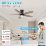 Thumbnail Low Profile Ceiling Fan with Lights — Smart Fan, Lorpies