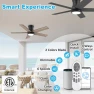 Thumbnail Low Profile Ceiling Fan with Lights — Smart Fan, Lorpies