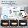Thumbnail Low Profile Ceiling Fan with Lights — Smart Fan, Lorpies