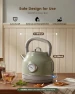 Thumbnail Retro Electric Tea Kettle with Thermometer — Electric Kettle, Amaste