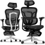 Thumbnail Ergonomic Office Chair with Footrest — Smart Chairs, FLEXISPOT