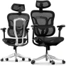Thumbnail Ergonomic Office Chair with Footrest — Smart Chairs, FLEXISPOT
