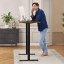 Thumbnail Dual Motor Standing Desk Frame — Standing Desk, ErGear