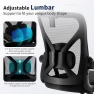 Thumbnail Ergonomic Desk Chair with Adjustable Lumbar Support — Smart Chairs, Nexthro