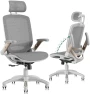 Thumbnail Ergonomic Office Chair with Footrest — Smart Chairs, GABRYLLY