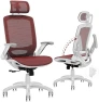 Thumbnail Ergonomic Office Chair with Footrest — Smart Chairs, GABRYLLY