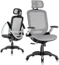Thumbnail Ergonomic Office Chair with Footrest — Smart Chairs, GABRYLLY