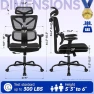 Thumbnail High Back Mesh Office Chair with Lumbar Support — Smart Chairs, Hayelf