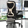 Thumbnail Office Desk Chair with Ergonomic Lumbar Support, Extra-Thick Seat Cushion, Flip-up Arms, Breathable Mesh Back — Smart Chairs, CASASIO