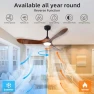 Thumbnail Outdoor Ceiling Fan with Light and Remote via WiFi Alexa — Smart Fan, Homlit