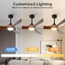 Thumbnail Outdoor Ceiling Fan with Light and Remote via WiFi Alexa — Smart Fan, Homlit