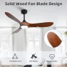 Thumbnail Outdoor Ceiling Fan with Light and Remote via WiFi Alexa — Smart Fan, Homlit