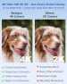 Thumbnail Spy Camera, No WiFi Security Camera with 3 Modes — Security Camera, Bextgoo