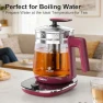 Thumbnail Electric Kettle with Temperature Control — Electric Kettle, ICOOKPOT