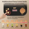 Thumbnail Electric Tea Maker with Infuser — Electric Kettle, HHT