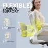 Thumbnail Ergonomic Mesh Desk Chair with Adjustable Lumbar Support and Headrest — Smart Chairs, Zeonsit