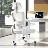 Thumbnail Ergonomic Mesh Desk Chair with Adjustable Lumbar Support and Headrest — Smart Chairs, Zeonsit