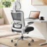 Thumbnail Ergonomic Mesh Desk Chair with Adjustable Lumbar Support and Headrest — Smart Chairs, Zeonsit