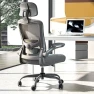 Thumbnail Ergonomic Mesh Desk Chair with Adjustable Lumbar Support and Headrest — Smart Chairs, Zeonsit