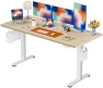 Thumbnail Height Adjustable Electric Standing Desk 55 x 28 Inches — Standing Desk, ErGear