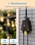 Thumbnail Outdoor Smart Plug with 2 Outlets — Smart Plug, meross