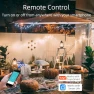 Thumbnail Outdoor Smart WiFi Plug Outlet — Smart Plug, TAYMATIC