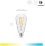 Tunable White, Vintage Clear Glass