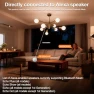 Thumbnail App-Controlled Globe Light Bulbs — Smart Light Bulb, ILC