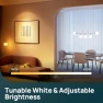 Thumbnail Matter Smart Bulbs, E12 Led Bulb, WiFi Candelabra B11 Bulbs, RGBTW Color Changing Light Bulb — Smart Light Bulb, Linkind