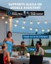 Thumbnail Outdoor Dimmer for String Lights — Smart Plug, DEWENWILS