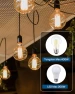 Thumbnail Outdoor Dimmer for String Lights — Smart Plug, DEWENWILS