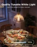 Thumbnail Smart Vintage Light Bulbs — Smart Light Bulb, Govee