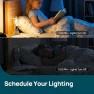 Thumbnail Smart WiFi Candelabra Bulb (E12) — Smart Light Bulb, Linkind