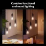 Thumbnail ST19 White Ambiance LED Smart Vintage Edison Filament Bulb, Warm — Smart Light Bulb, Philips Hue