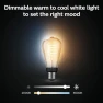Thumbnail ST19 White Ambiance LED Smart Vintage Edison Filament Bulb, Warm — Smart Light Bulb, Philips Hue