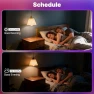 Thumbnail ST64 Edison Smart Bulb, Color Changing Light Bulb — Smart Light Bulb, MOES