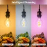 Thumbnail Smart Edison Bulb G80, Color Changing WiFi Smart Light Bulb — Smart Light Bulb, DiCUNO