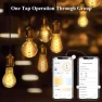 Thumbnail Smart Edison Bulb G80, Color Changing WiFi Smart Light Bulb — Smart Light Bulb, DiCUNO
